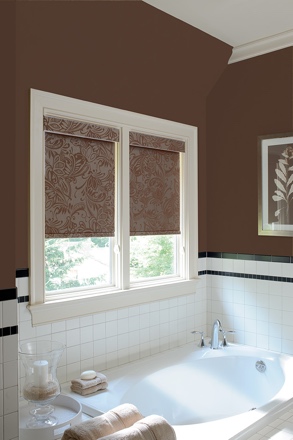 Phoenix roller shades small